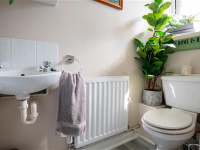 Picture 24